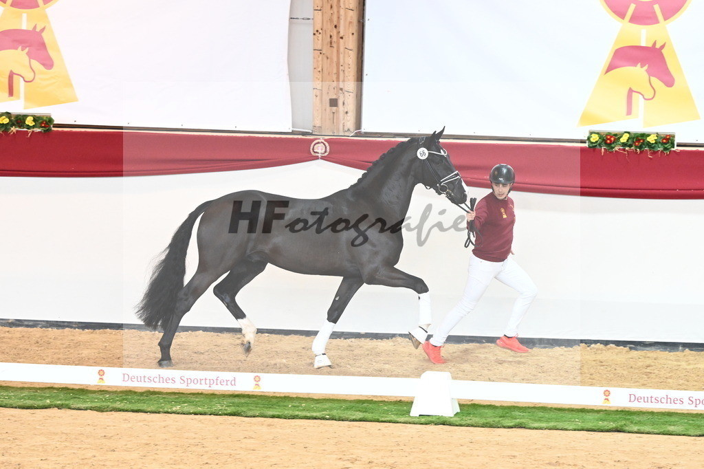 Kat.-Nr. 66 v. Taurus_Beckmann_2240858 | hf-fotografie - Realisiert mit Pictrs.com