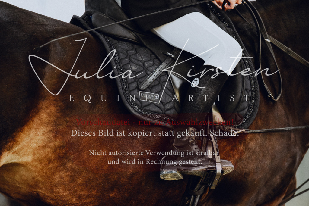 DSC_7224 | Pferde- und Turnierfotografie in Westsachsen. Pferdeportraits, Auftragszeichnungen und intuitive Kunst.