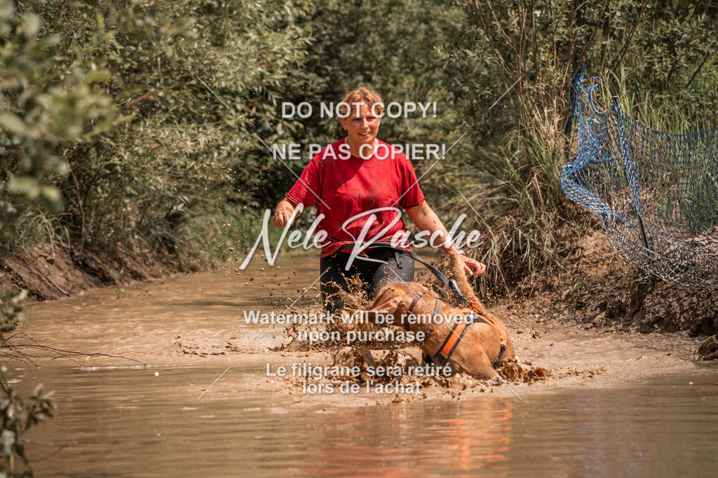 nelerasche_Hoope2026_So1400-1430_98 | nelerasche