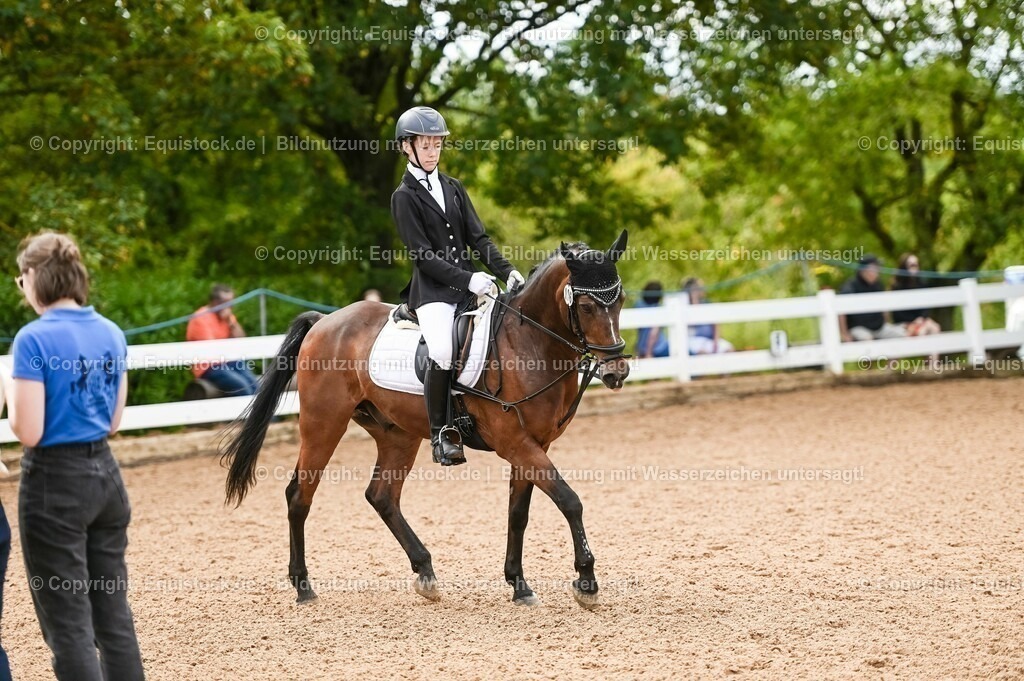 20230716_10-2_Reiter-WB Schritt - Trab - Galopp_0099 | equistock