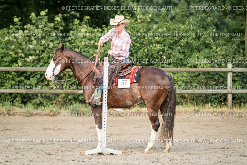 DSC05893 | Pferdegrafie