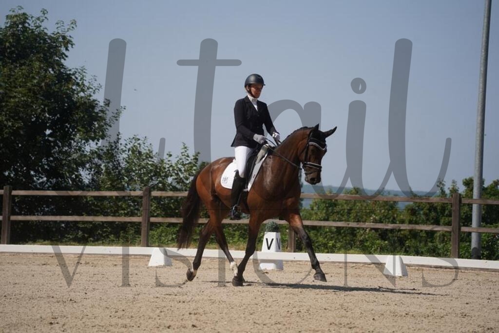 tgbhfreitag (792) | d.tail Visions - Shop - Realisiert mit Pictrs.com