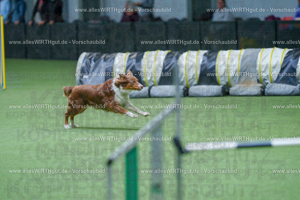 @allesWIRTHgut_Tierfotografie - www.allesWIRTHgut.de - 2604251058-7R500692 | Professionelle Tierfotografie in Mönchengladbach von Daniel Wirth (allesWIRTHgut). Liebevolle & natürliche Bilder von Hunden & Katzen für unvergessliche Erinnerungen.