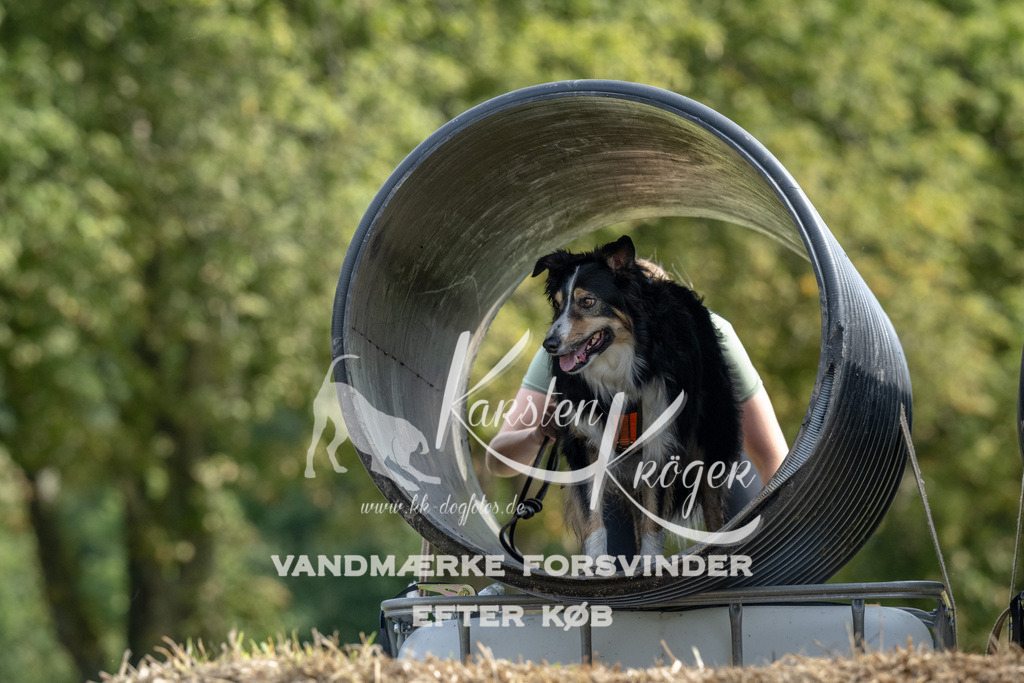 1040_ZZ92735 | kk-dogfotos