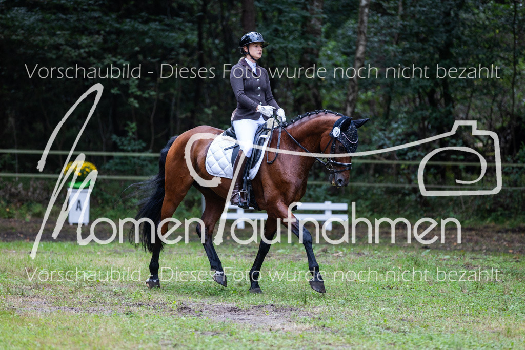 HB-A-Dressur-023 | MomenTaufnahmen Pferdesportfotos