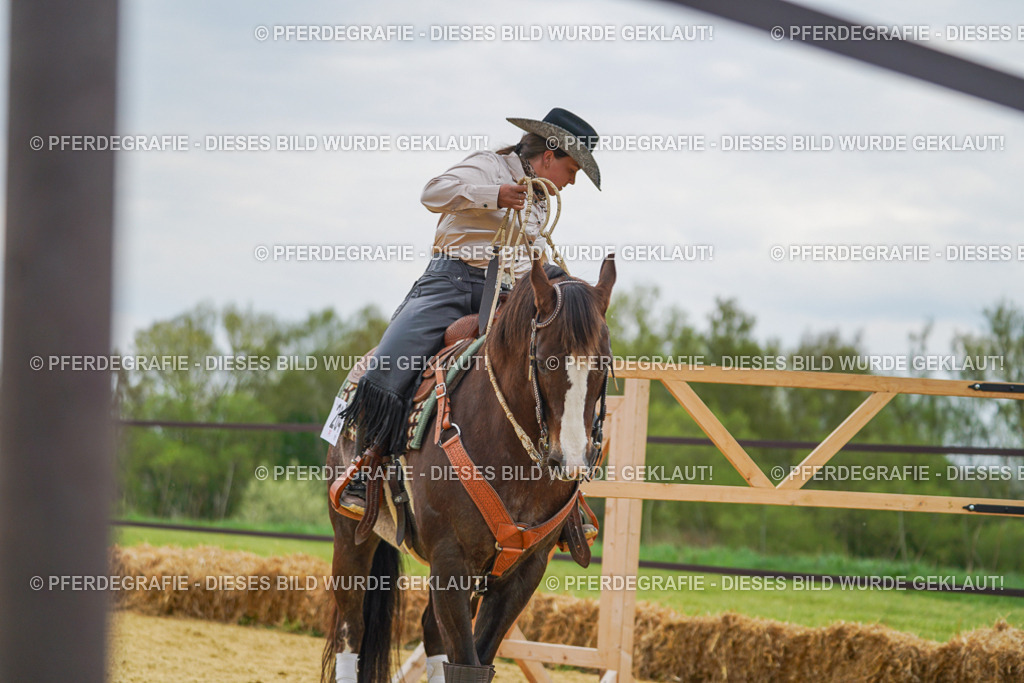 DSC07377 | Pferdegrafie