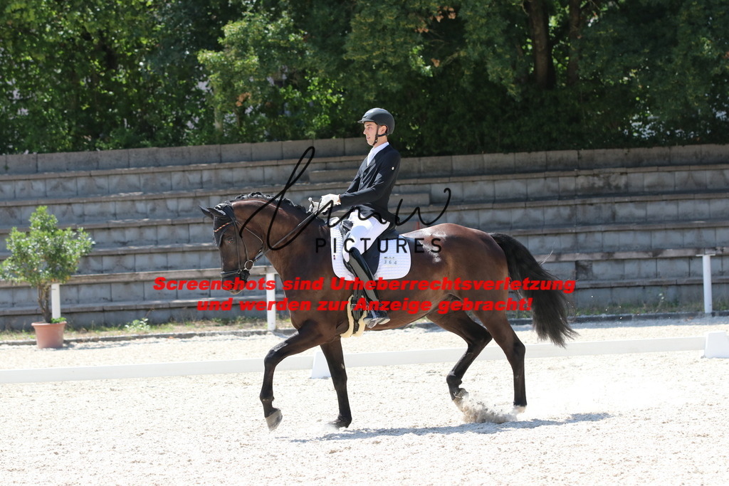 IMG_5056 | lmwpictures - Realisiert mit Pictrs.com