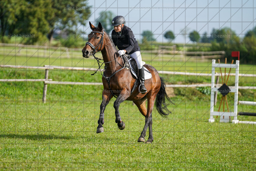 20230917-FAH09100 | Landsberg am Lech, 2023, Kaufbeuren, Kempten, Allgäu, Turnierfotografen Bayern, Fotoagentur Herrmann, Turnierbilder, Reitsport Fotos, Pferdefotograf, Augsburg, Bad Tölz, Dachau, Karlsfeld, Memmingen, Buchloe, Schwabmünchen