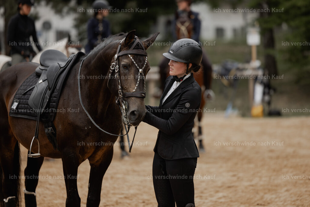 WE__Stoib_Rinder_PI2025_3071 | Pferd International München 2025