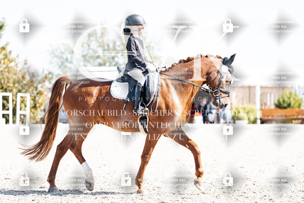 CK903069 | Turnierfotografie Pferdefotografie Trier Rheinland-Pfalz Pferdesport Reitsport Tierfotografie Sportfotografie Pferdevideo Pferdevideografie Equestrianvideography equestrianphotography  - Realisiert mit Pictrs.com