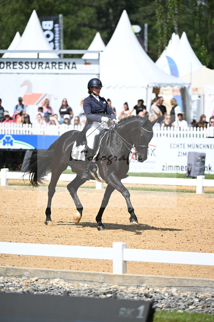 Merk_Sambuco_12243645 | hf-fotografie - Realisiert mit Pictrs.com