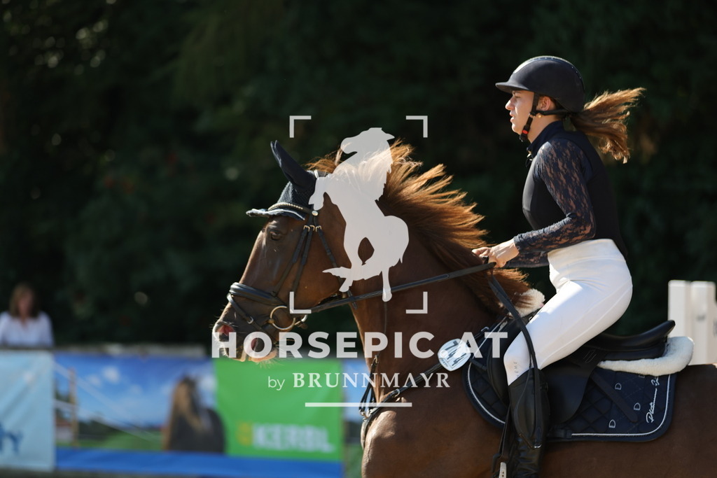 0P6A5415 | Willkommen bei Brunnmayr - Design & Fotografie – Ihrem Spezialisten für Reitturniere und Pferdeveranstaltungen in Oberösterreich, Salzburg und Bayern! Seit über 17 Jahren sind wir leidenschaftlich dabei.
