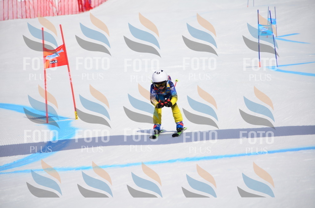 VR4_6833 | holidayphoto