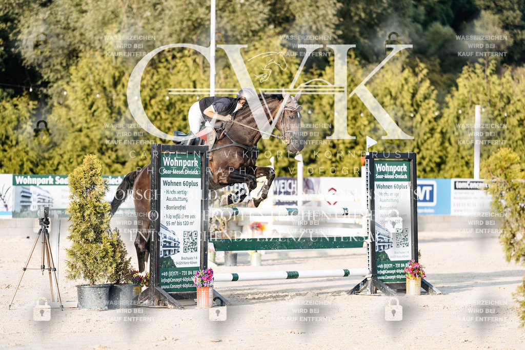 CK900793 | Turnierfotografie Pferdefotografie Trier Rheinland-Pfalz Pferdesport Reitsport Tierfotografie Sportfotografie Pferdevideo Pferdevideografie Equestrianvideography equestrianphotography  - Realisiert mit Pictrs.com