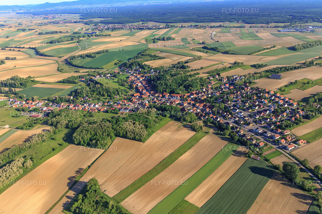 Vue aérienne: Vue d'ensemble du village depuis l'est à Neewiller-près-Lauterbourg dans le département Bas Rhin, France – .Photo: IMG_115037.jpg prise le 01/06/2019 par Werner Riehm/FLY-FOTO.eu – Résolution de l'original: 5418 x 3612 px