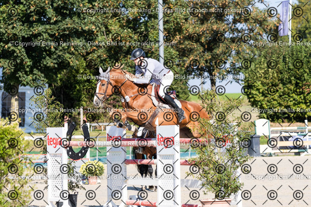 CL5A9673 | Emilia Reinking Fotografie - Realisiert mit Pictrs.com