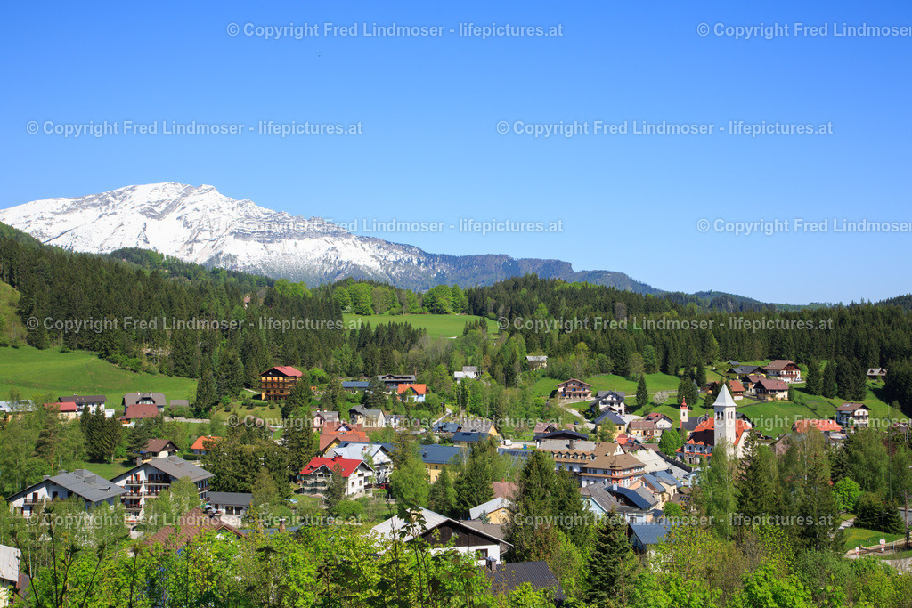 Otscher  (17) | Fotos und Fotoprodukte - Realisiert mit Pictrs.com