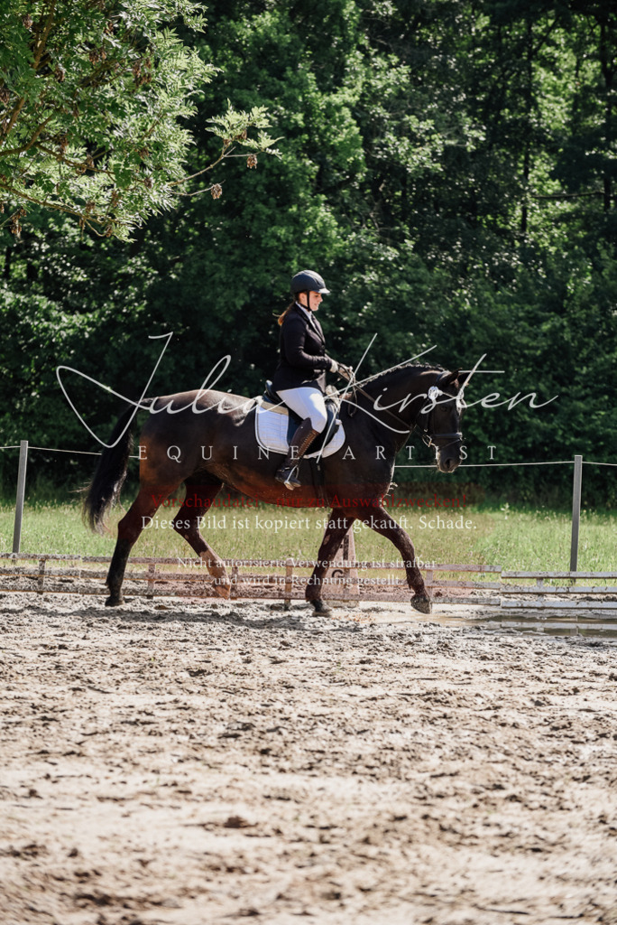 DSC_0144 | Pferde- und Turnierfotografie in Westsachsen. Pferdeportraits, Auftragszeichnungen und intuitive Kunst.