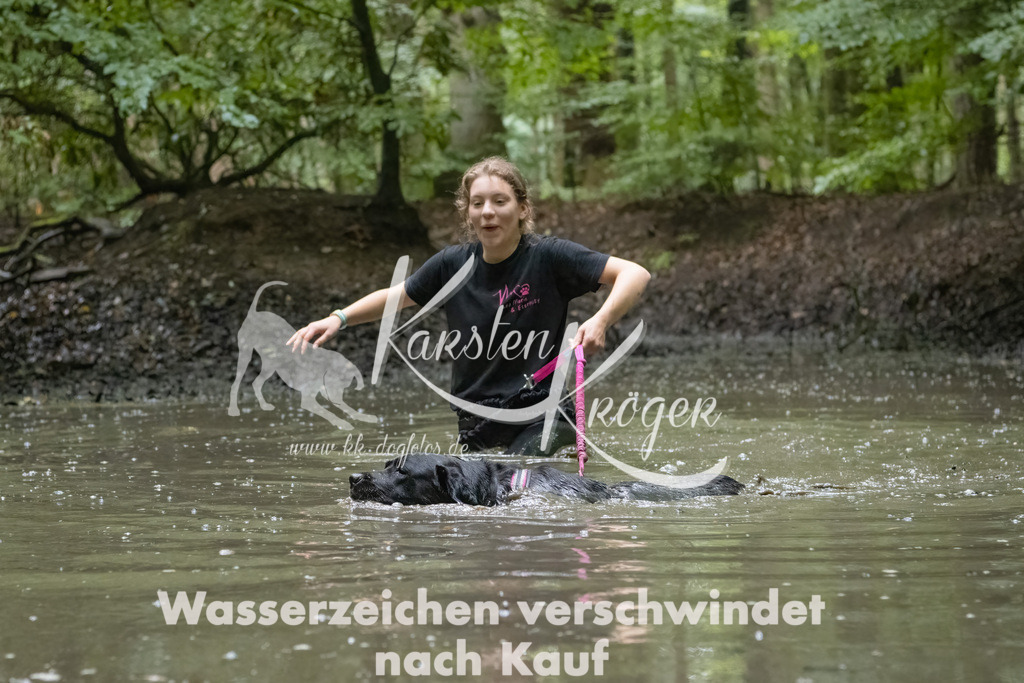 1016_ZZ91948-Bearbeitet | kk-dogfotos