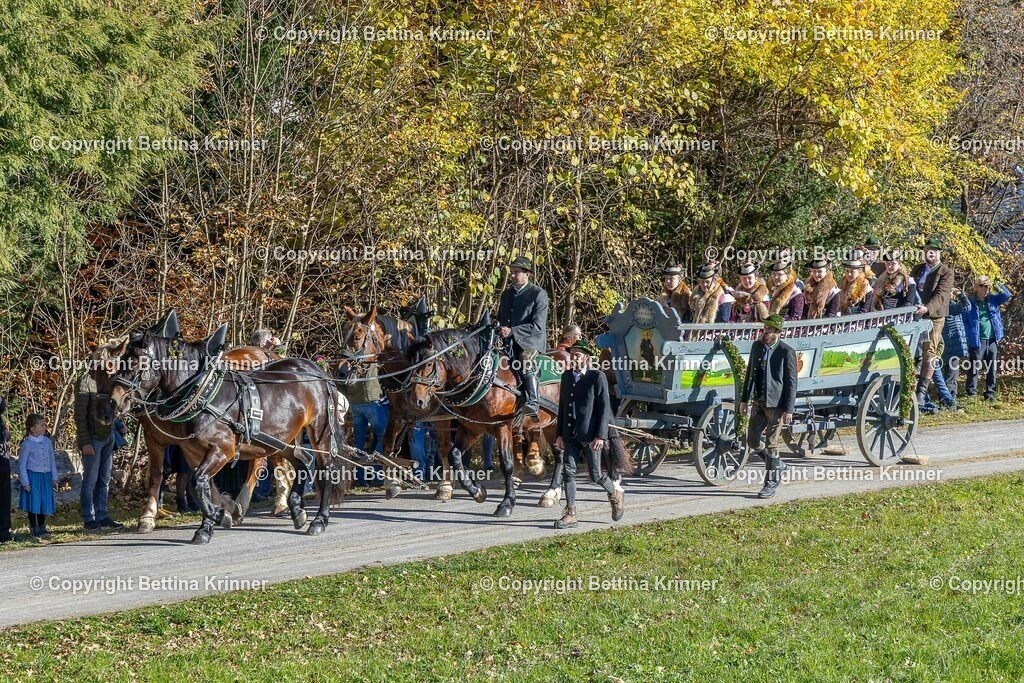 LBT25-497 | foto-bettina-krinner - Realisiert mit Pictrs.com