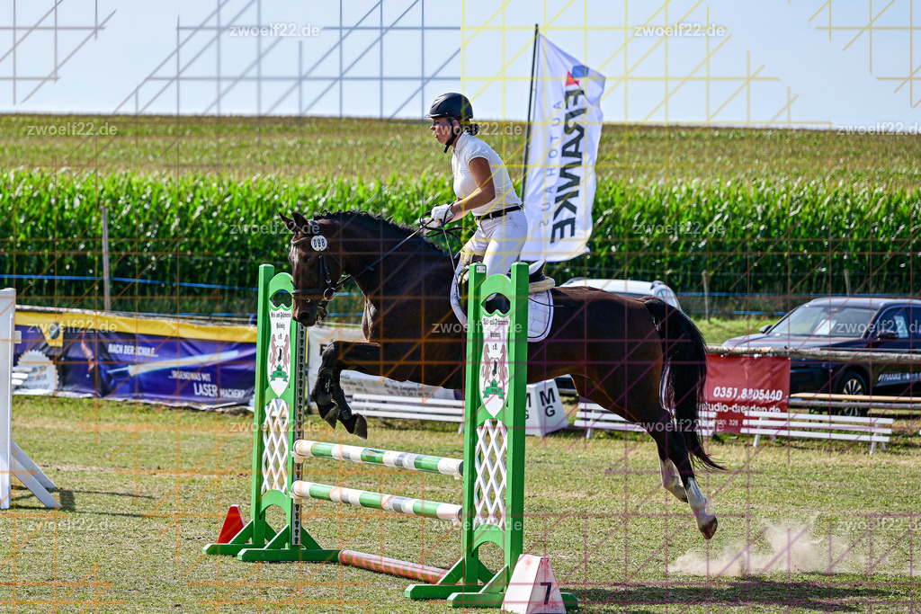 30 Jahre RFV Pulsnitz e.V., Pulsnitz am 09.08.2026 | Zur 28. breitensportlichen Veranstaltung des RFV Pulsnitz e.V. fanden verschiedene Wettbewerbe in nahezu allen Disziplinen des Pferdesport statt. - 06 Standard-Spring-Wettbewerb - Realisiert mit Pictrs.com