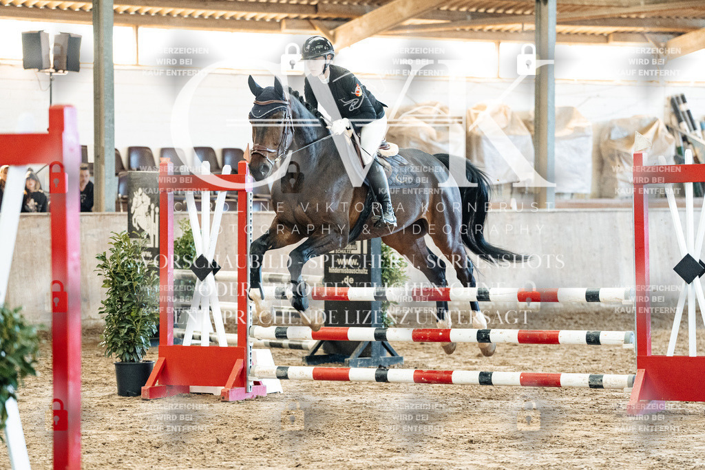 CK904571 | Turnierfotografie Pferdefotografie Trier Rheinland-Pfalz Pferdesport Reitsport Tierfotografie Sportfotografie Pferdevideo Pferdevideografie Equestrianvideography equestrianphotography  - Realized with Pictrs.com