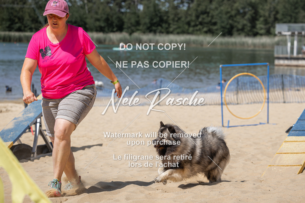 nelerasche_saBeachility_786 | nelerasche