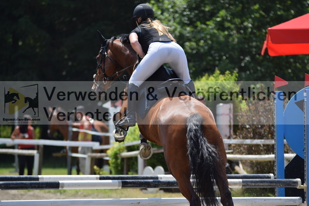 DSC_0004 | equestrian-live-com