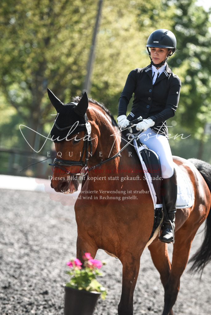 DSC_8928 | Pferde- und Turnierfotografie in Westsachsen. Pferdeportraits, Auftragszeichnungen und intuitive Kunst.