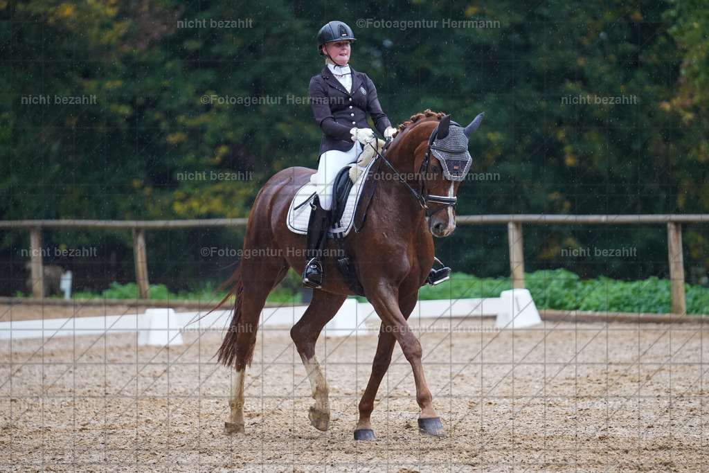 20221008-FAH02218 | Diessen am Ammersee, 2022, Dressur- und Springturnier, Reitsportbilder, Turnierfotografen Bayern, Pferdefotografen, Fotoagentur Herrmann, Turnierbilder