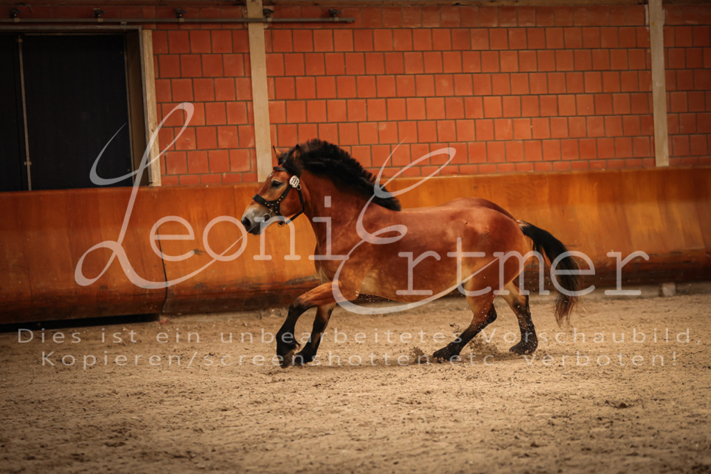 SaFL00099 | Leoni Ertmer Photography - Realisiert mit Pictrs.com