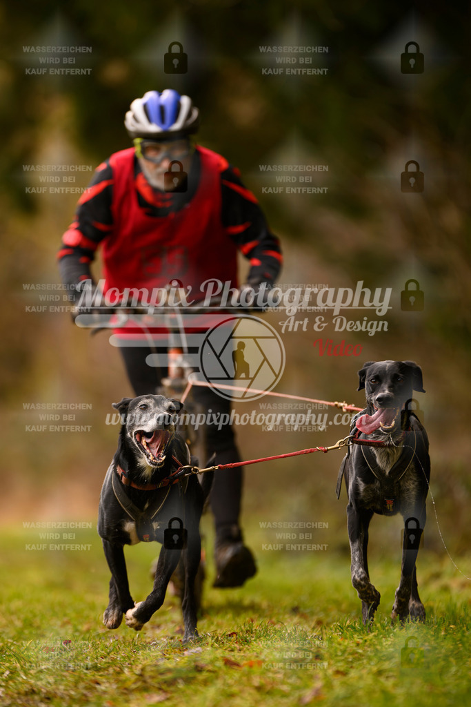 MompixPhotography_2SSTSSBW_2025_SO_Scooter-73 | PayLife