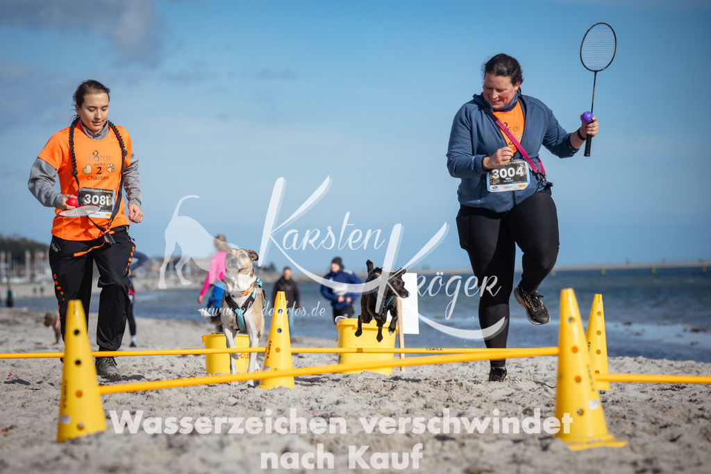 1339_ZZ92412 | kk-dogfotos