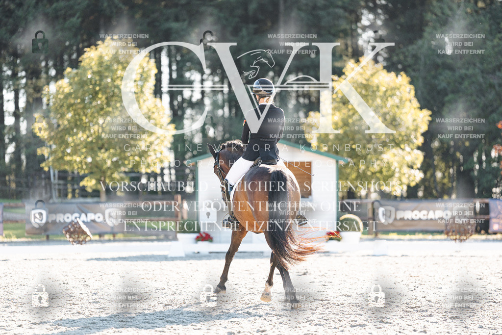 CK907072 | Turnierfotografie Pferdefotografie Trier Rheinland-Pfalz Pferdesport Reitsport Tierfotografie Sportfotografie Pferdevideo Pferdevideografie Equestrianvideography equestrianphotography  - Realisiert mit Pictrs.com