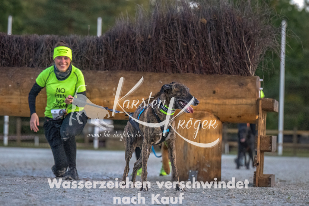 0804-00022 | kk-dogfotos