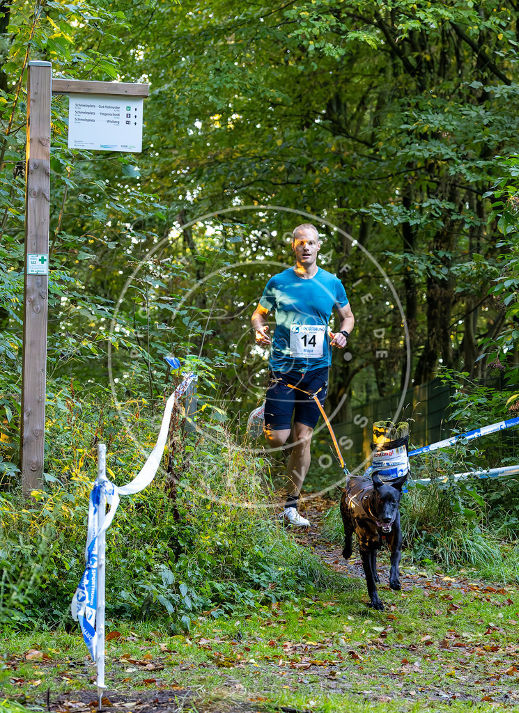Pfotenfotografie_DV3A6333 | Hundefotografie, Tierfotograf, Pfotenfotografie, Fotoshooting Hund, Hunde Portrait, Hundesport, Hundeportraits, Heideshooting, Hunde, Sportfotograf, Hundefotograf, Turnierhundsport, THS,  - Realisiert mit Pictrs.com