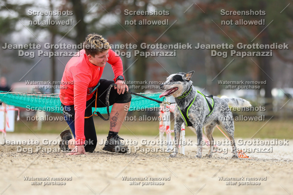 Dog Paparazzi - Strongdog North Mrz26-4687 | Dog Paparazzi Jeanette Grottendiek Fotografie & Videografie - Realisiert mit Pictrs.com