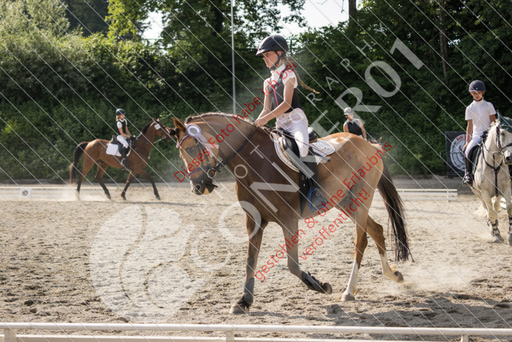 IMG_6129 | Sport-, Event- und Tierfotos in Profiqualität. Einfach auswählen, bestellen und herunterladen. Dein Moment – perfekt festgehalten.