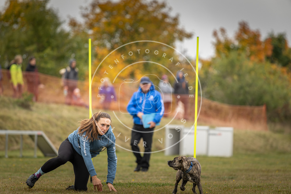 Pfotenfotografie_DV3A3489 | Hundefotografie, Tierfotograf, Pfotenfotografie, Fotoshooting Hund, Hunde Portrait, Hundesport, Hundeportraits, Heideshooting, Hunde, Sportfotograf, Hundefotograf, Turnierhundsport, THS,  - Realisiert mit Pictrs.com