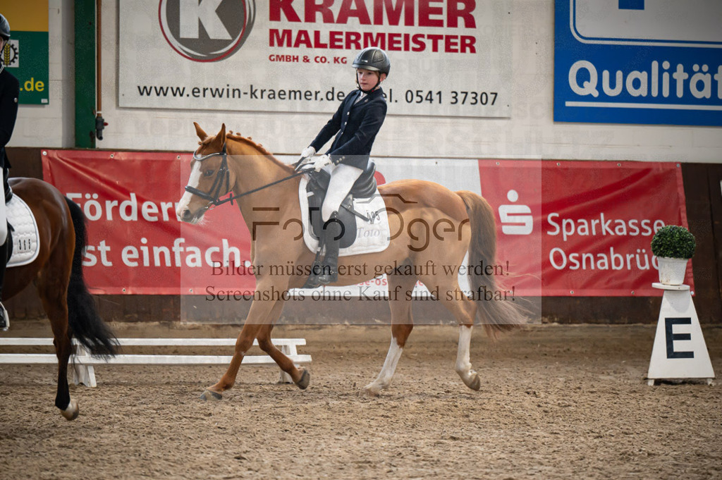 Hallenreittunier Voxtrup 2023 | Entdecke hochwertige Reitturnierfotos von Foto Oger. Professionell, emotional und authentisch – jetzt Lieblingsmomente im Shop bestellen.Deutschlandweite Turnierfotografie. - Realisiert mit Pictrs.com