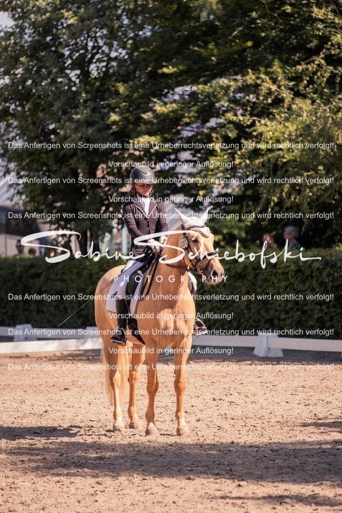 2025_05_31_DSCF3056 | People- und Tierfotografie, Imageaufnahmen, Veranstaltungsfotografie und Wandbilder aus der Natur ★ Made in Germany ✔️ Druck + Downloads ✔️ Naturfotografie in Top Qualität ★ schneller Versand, weltweite Lieferung! - Realisiert mit Pictrs.com