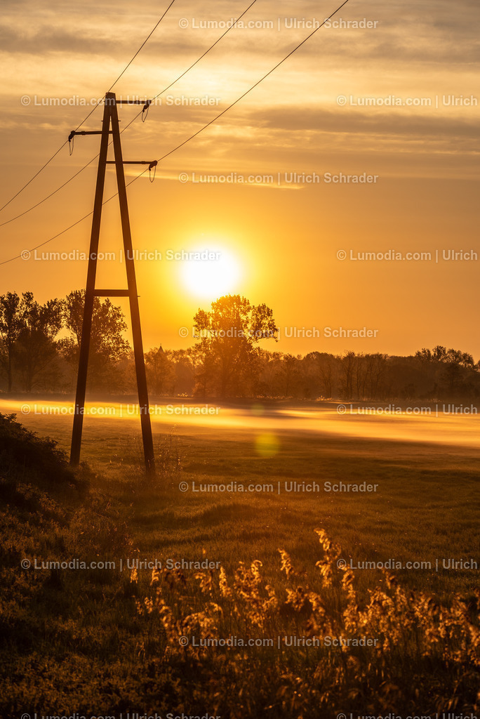 10049-13903 - Sonnenaufgang im Großen Bruch | Stockfoto und Bilderpool mit Bildmaterial aus Deutschland, dem Harz, Halberstadt, Quedlinburg, Wernigerode und weltweit. Qualitativ hochwertige und professionelle Fotos anschauen und kaufen. - Realisiert mit Pictrs.com