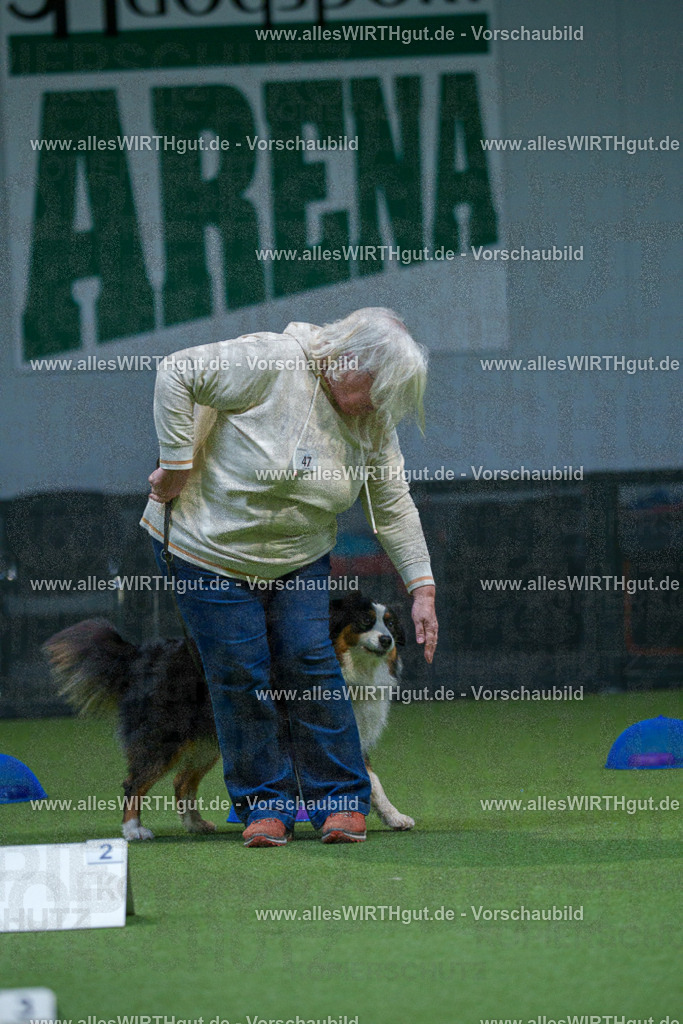 7R501419 | Professionelle Tierfotografie in Mönchengladbach von Daniel Wirth (allesWIRTHgut). Liebevolle & natürliche Bilder von Hunden & Katzen für unvergessliche Erinnerungen.