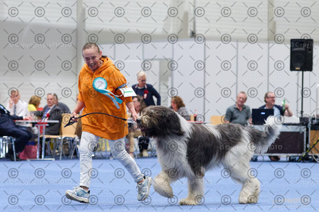 202406_ÖKV-IHA-Tulln24_DSC_2872 | proPHOTO - Realisiert mit Pictrs.com