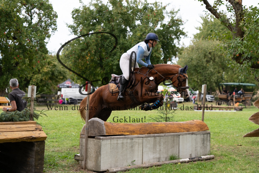 A7V03724 | Pferdefotograf