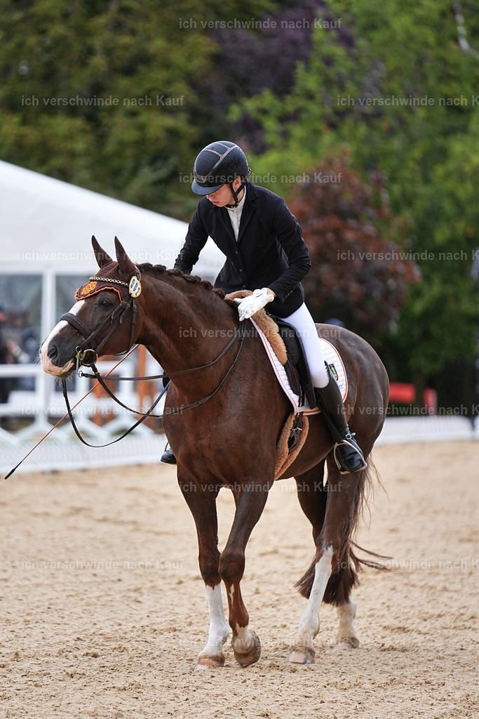 05-002-DRESSUR M_  -Marixx-4960 | working equitationturnier fotograf videograf stoibphotography marixx film working equitation deutschland reitsport turnierfotografie eventfotografie equestrian events