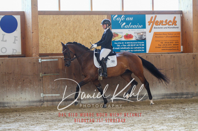 DKP43277 | Turniersportfotografie; Pferdefotografie; Dressurfotografie