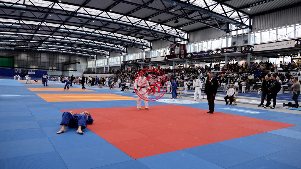 MVI_7707-4 | Fotos vom Adler Cup - Pictures from Adler Cup

Hier findet Ihr alle Eindrücke und großen Momente der Adler Cup Wochenenden. Here you will find all impressions and great moments of the Adler Cup weekends. - Realisiert mit Pictrs.com