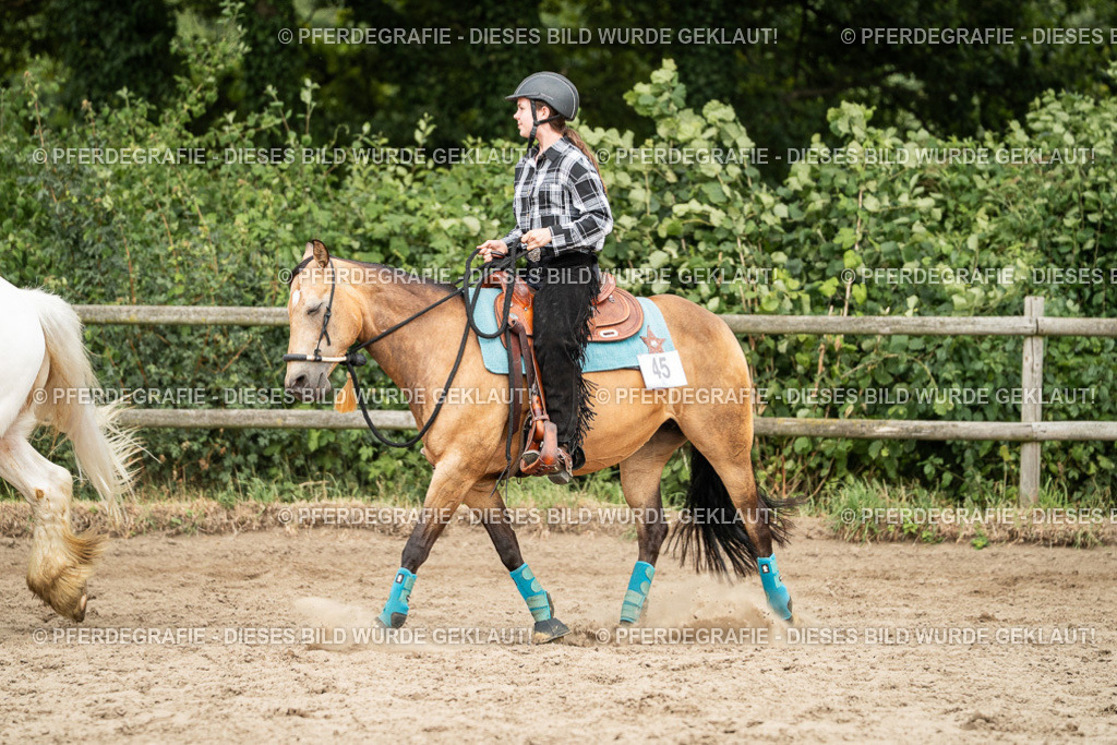 DSC03788 | Pferdegrafie