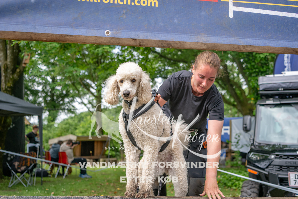 1005_ZZ93899 | kk-dogfotos